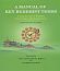 A MANUAL OF KEY BUDDHIST TERMS,Categorization of Buddhist Terminology with Commentary